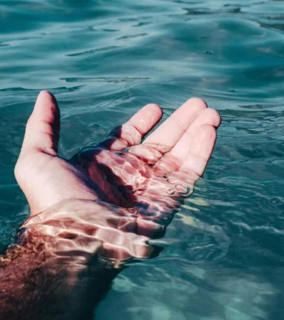 pexels-victor-freitas-1072842-jpg.