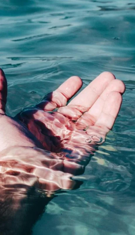 pexels-victor-freitas-1072842-jpg.