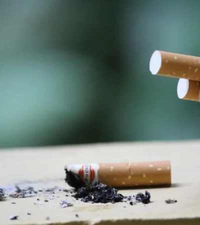 pexels-basil-mk-247040-jpg.