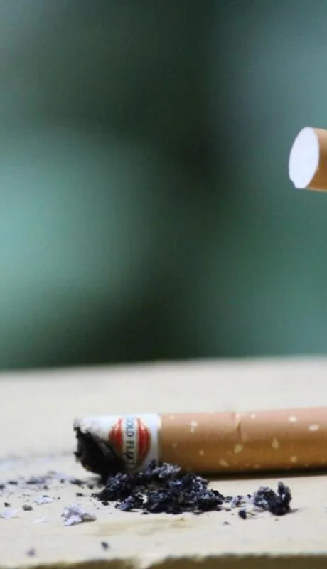 pexels-basil-mk-247040-jpg.