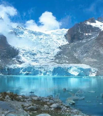 d0f039a5-aa8e-4405-bb7c-7eac85d51fb7-jpg.