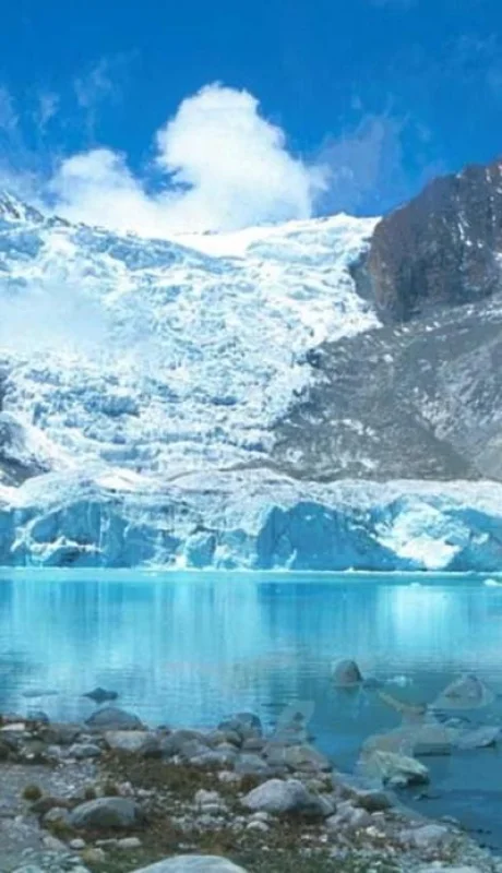 d0f039a5-aa8e-4405-bb7c-7eac85d51fb7-jpg.