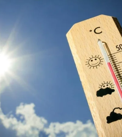 whatsapp-image-2024-01-26-at-07-46-08-1-jpeg.