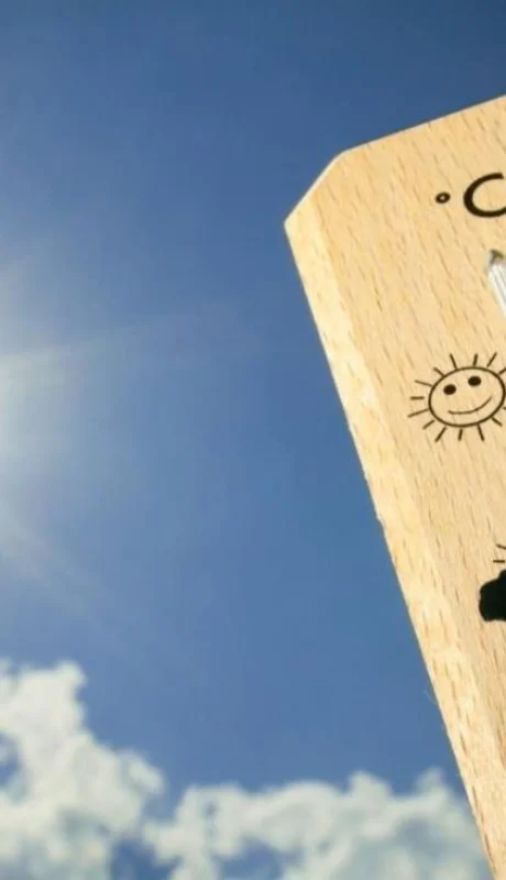 whatsapp-image-2024-01-26-at-07-46-08-1-jpeg.