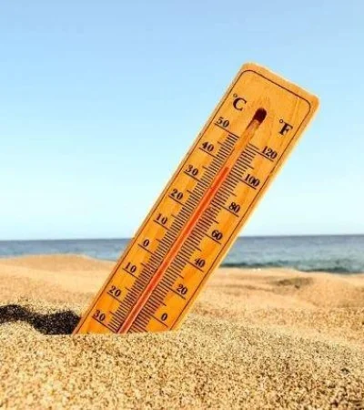 64cbde1a9ed23-700-462-jpg.