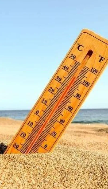 64cbde1a9ed23-700-462-jpg.