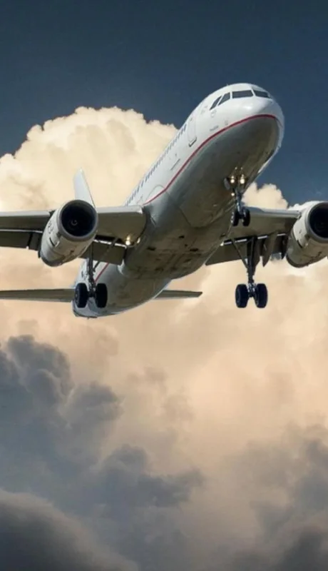 pexels-pixabay-46148-jpg.