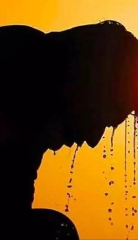 Ola de calor en Argentina: altas temperaturas, tormentas y alivio esperado