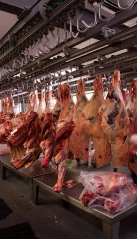 Imagen ilustrativa (web)