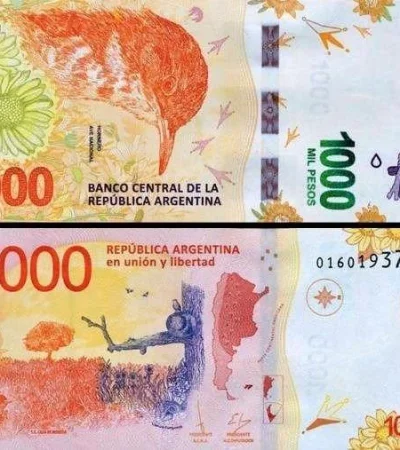 46271608674-6b1eddbf39-z-jpg.