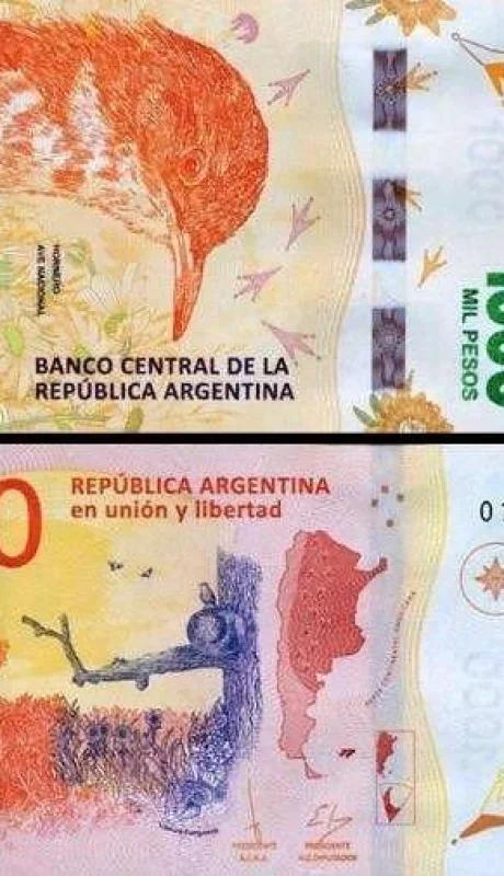 46271608674-6b1eddbf39-z-jpg.