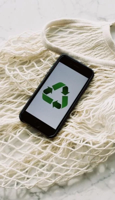 pexels-ready-made-3850512-jpg.