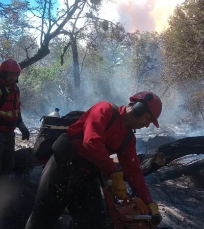 whatsapp-image-2024-01-30-at-10-32-43-jpeg.