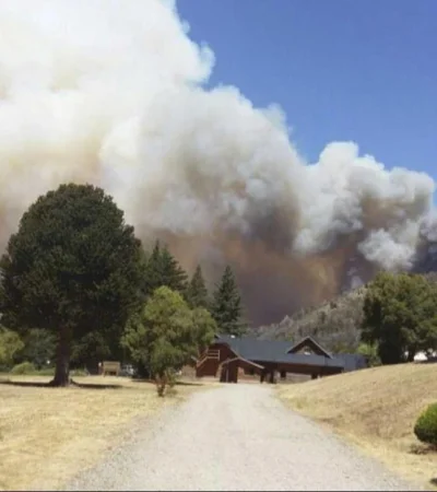 1366-1453411927160121046-jpg.