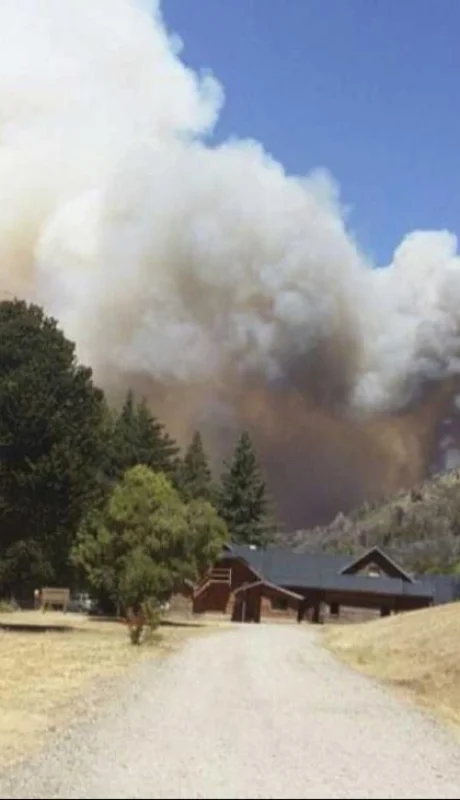 1366-1453411927160121046-jpg.