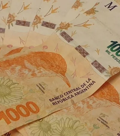 pesos-argentina-fci-dinero-plata-inversiones-png.