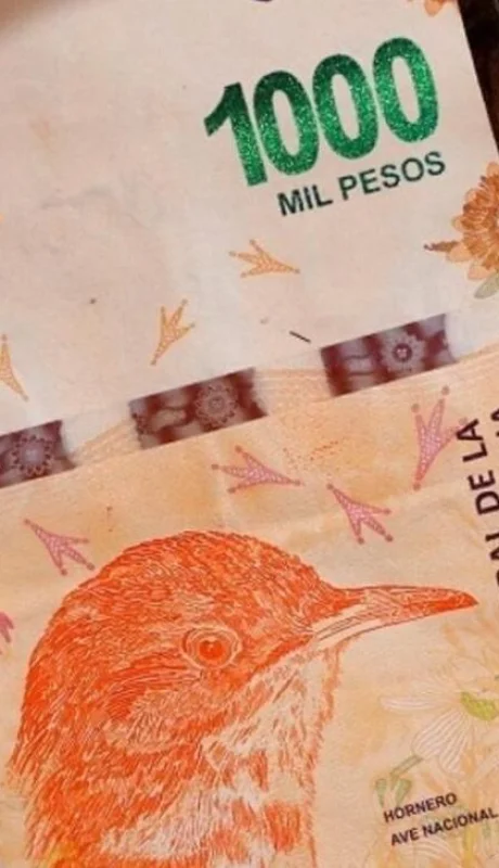 pesos-dolar-cambio-png.