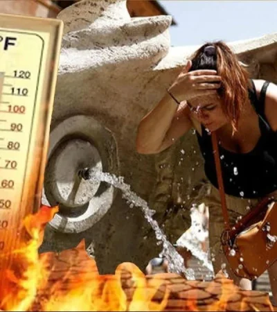 whatsapp-image-2024-02-01-at-09-27-45-1-jpeg.