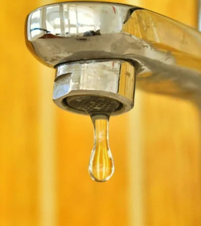 pexels-nithin-pa-2583028-jpg.