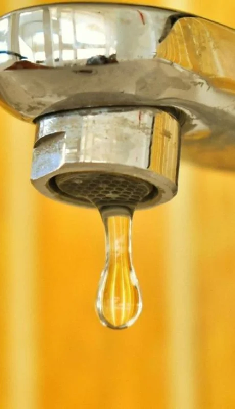 pexels-nithin-pa-2583028-jpg.