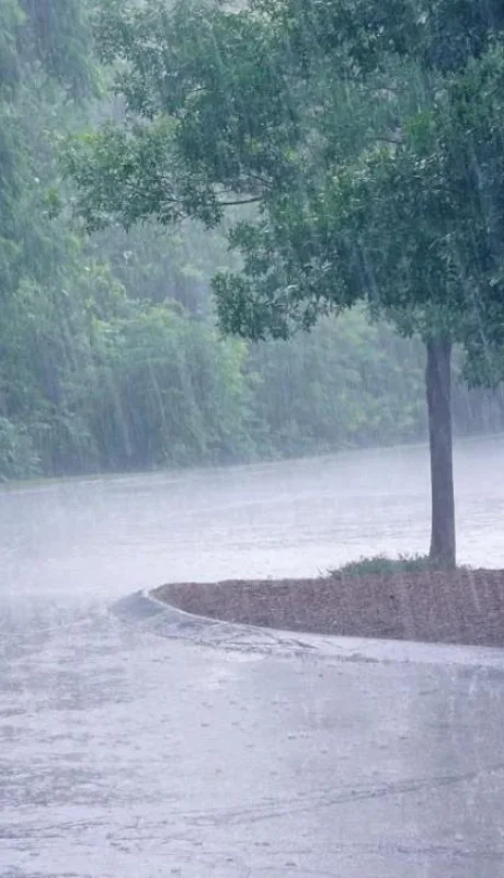 semana-con-fuertes-tormentas-y-lluvias-abundantes-229131-1-1280-jpg.