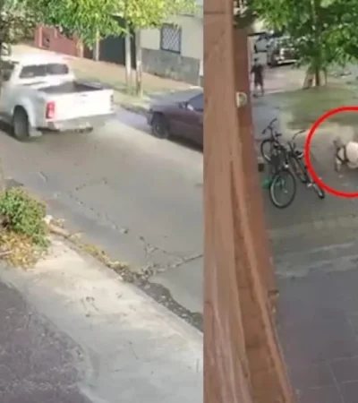 captura-de-video-jpg.