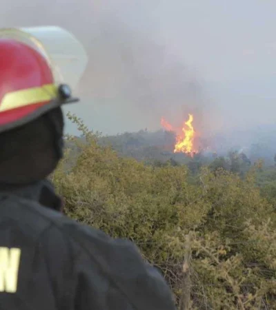 1200-1453837507160126020-jpg.