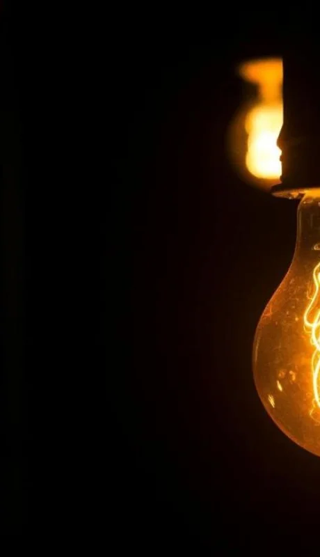 pexels-daniel-reche-1556704-jpg.