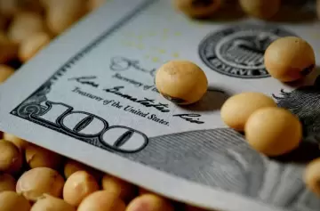 Devaluación o menos retenciones: el campo sigue presionando por mejores precios