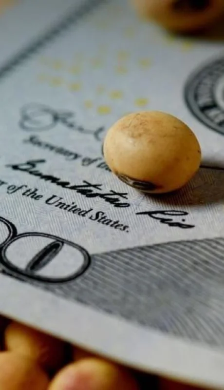 Devaluación o menos retenciones: el campo sigue presionando por mejores precios