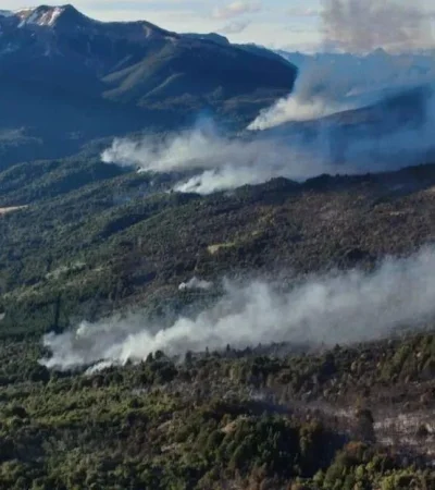 whatsapp-image-2024-02-06-at-14-48-00-jpeg.