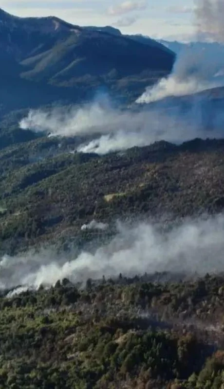 whatsapp-image-2024-02-06-at-14-48-00-jpeg.