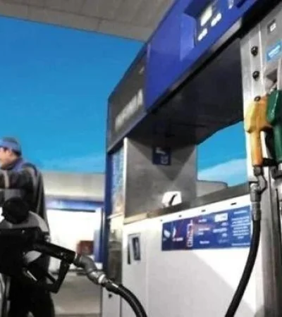 whatsapp-image-2024-02-09-at-14-42-14-jpeg.