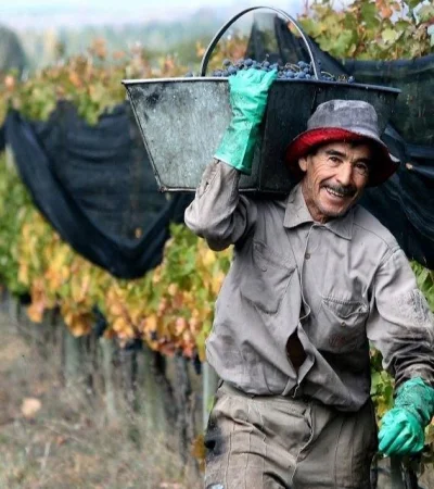 trabajador-rural-jpg.