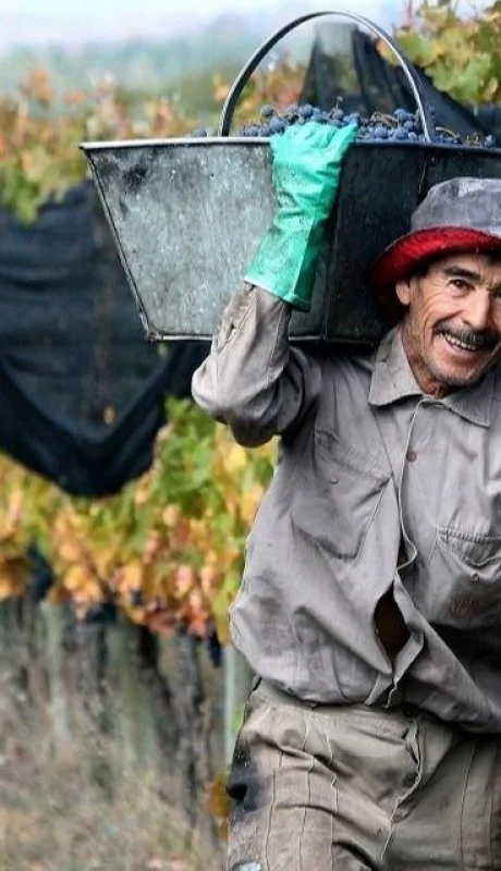 trabajador-rural-jpg.