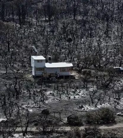 whatsapp-image-2024-02-13-at-11-43-49-jpeg.