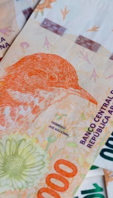 pesos-argentina-plazo-fijo-png.