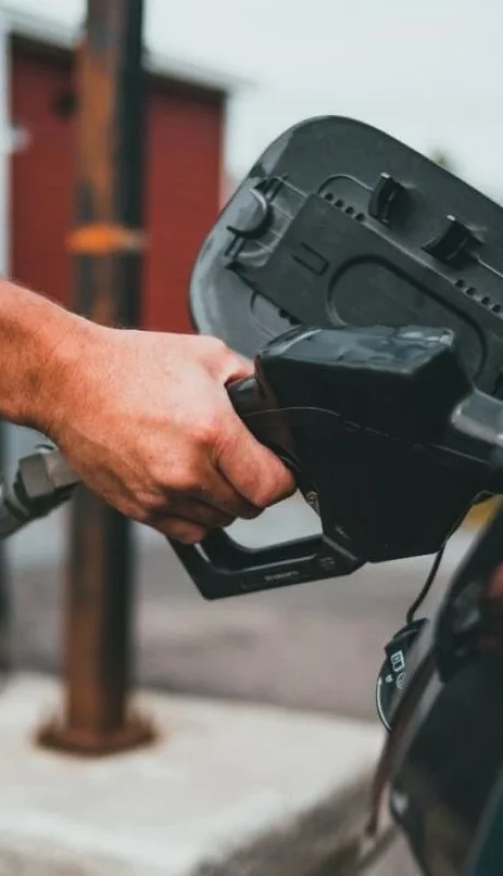 pexels-erik-mclean-9216590-1-jpg.