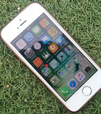 pexels-pok-rie-191841-jpg.