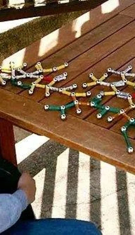 480px-riboflavin-penicillinamide-jpg.