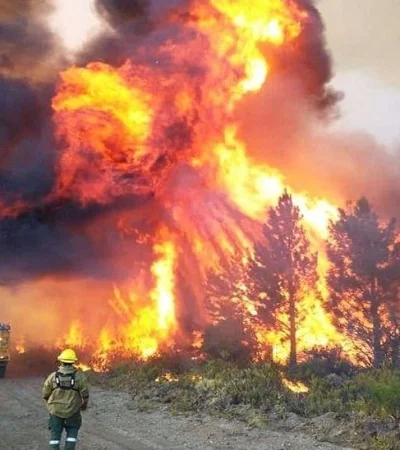 whatsapp-image-2024-02-07-at-14-32-55-jpeg.