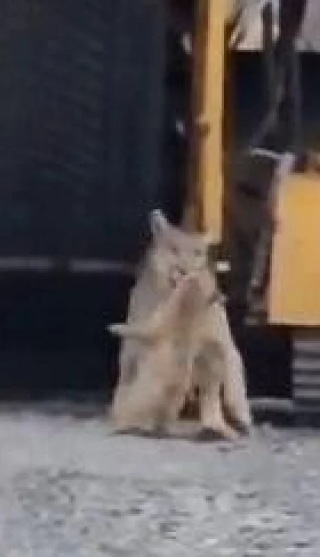 whatsapp-image-2024-02-22-at-14-44-10-jpeg.