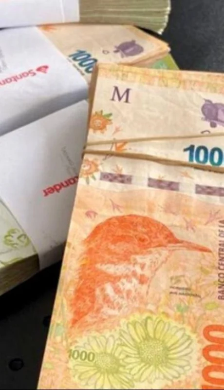 pesos-argentina-dinero-fci-png.