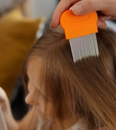 captura-de-pantalla-2024-02-25-095337-png.