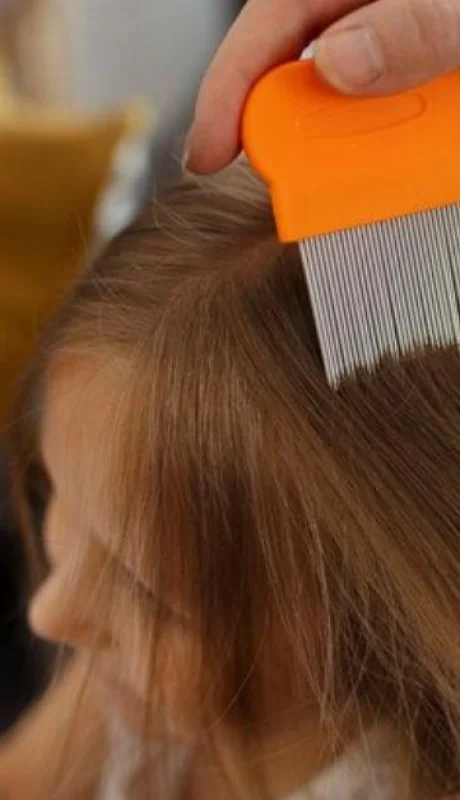 captura-de-pantalla-2024-02-25-095337-png.