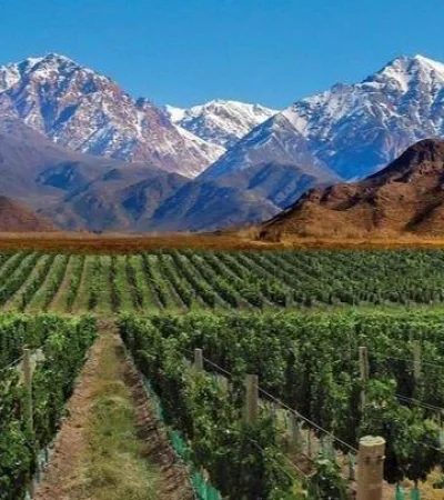 mendoza-jpg.