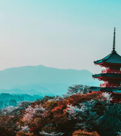 pexels-belle-co-402028-jpg.