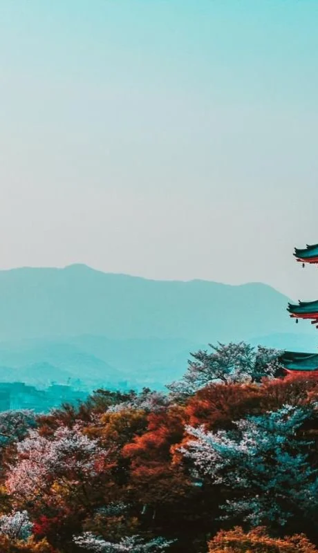 pexels-belle-co-402028-jpg.