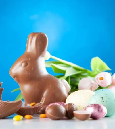 pexels-george-dolgikh-2072158-jpg.