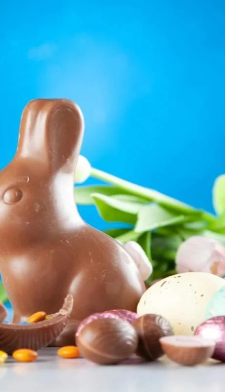 pexels-george-dolgikh-2072158-jpg.